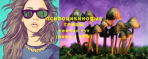 дживик Волоколамск
