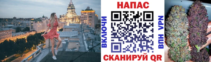 дарк нет Telegram  Нолинск  Канабис VHQ 
